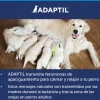 Adaptil Calm Difusor + Recambio 48ml