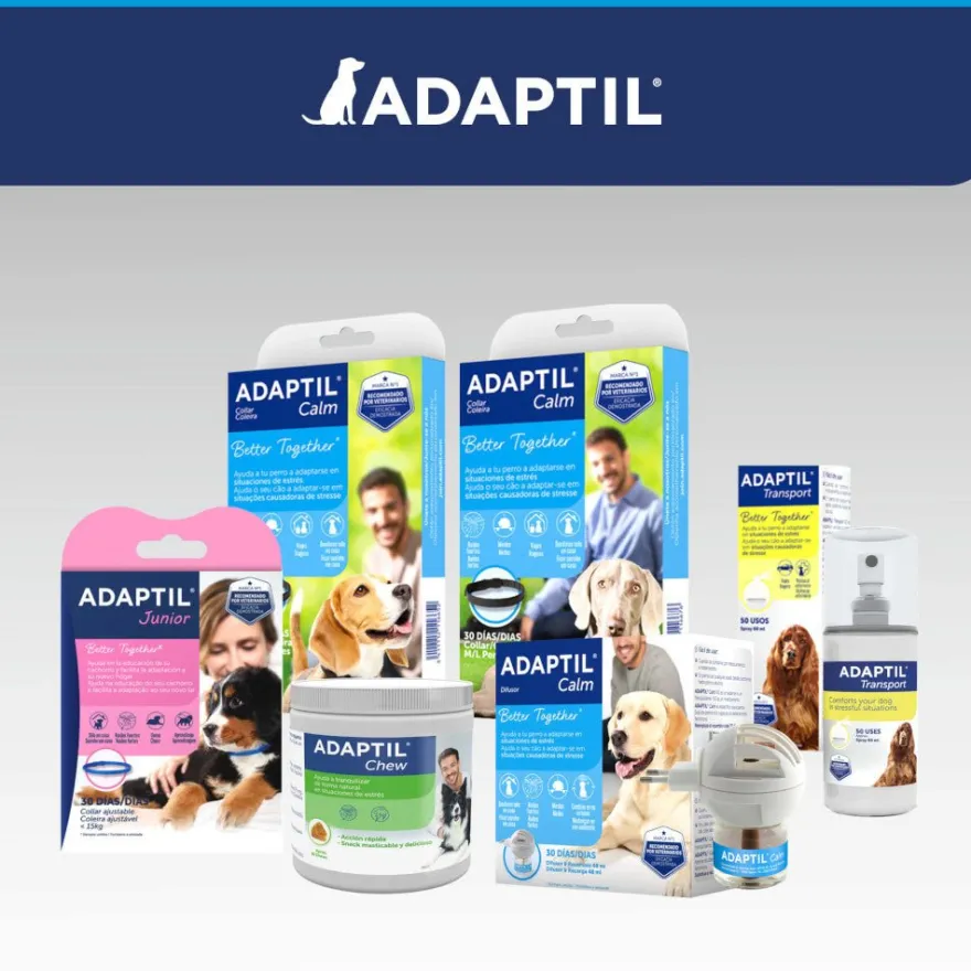 Adaptil Collar Calm para Perros Pequeños 1 ud