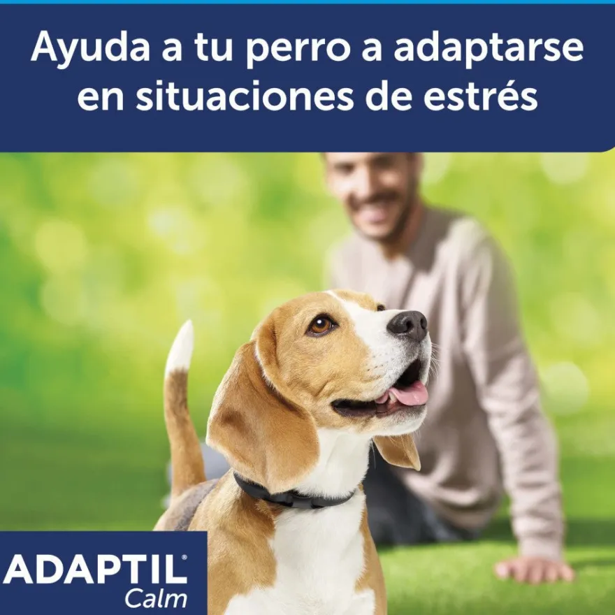 Adaptil Collar Calm para Perros Pequeños 1 ud