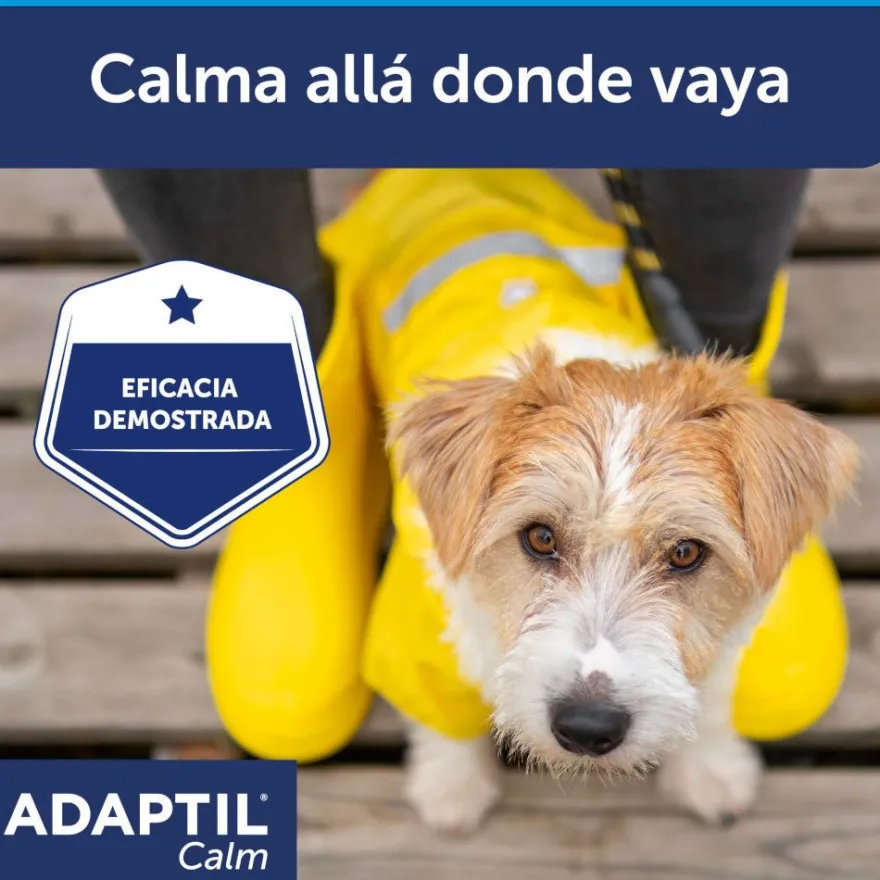 Adaptil Collar Calm para Perros Pequeños 1 ud