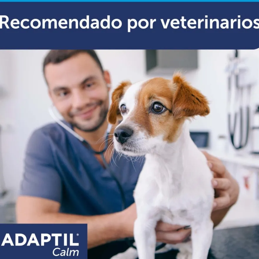 Adaptil Collar Calm para Perros Pequeños 1 ud