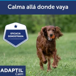 Adaptil Collar Calm Perro Grande Negro 1 ud