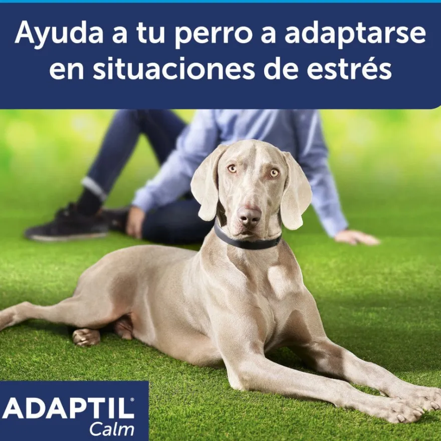 Adaptil Collar Calm Perro Grande Negro 1 ud