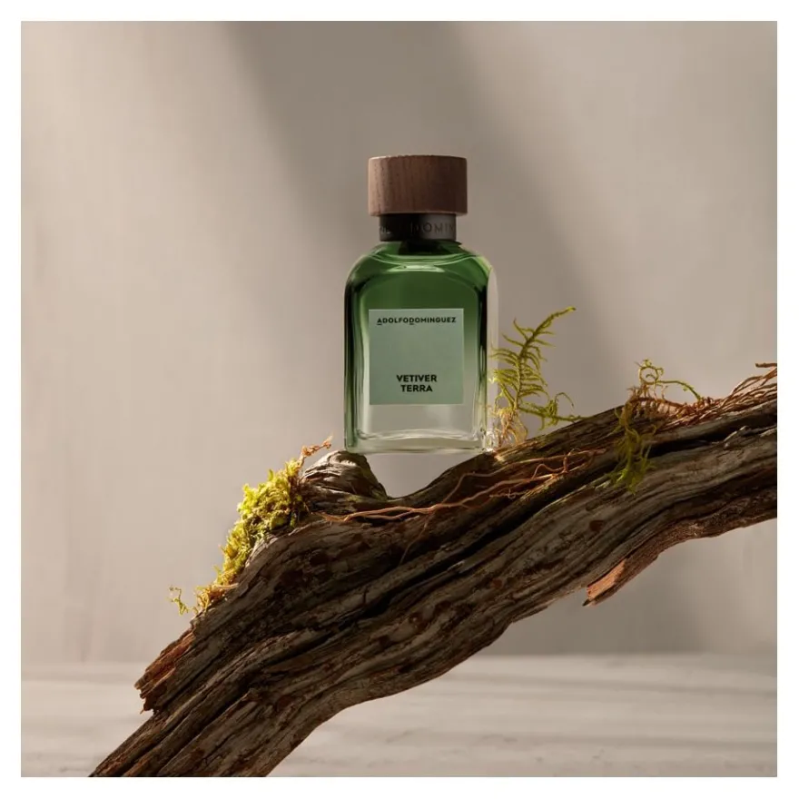 Adolfo Domínguez Vetiver Terra Eau de Parfum 100 ml