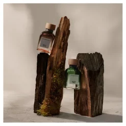 Adolfo Domínguez Vetiver Terra Eau de Parfum 100 ml