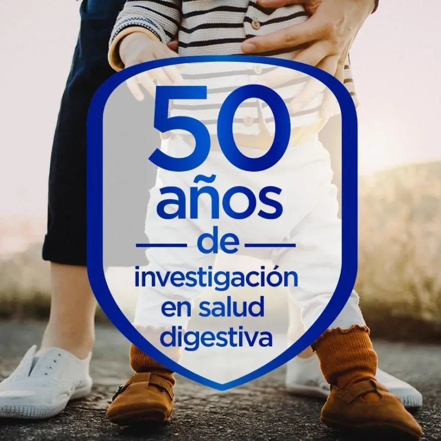 ALMIRÓN Digest 2 Leche de Continuación 800gr NUEVA FÓRMULA
