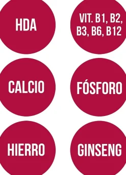 Ana María Lajusticia Ginseng Jalea Real 60 Cápsulas