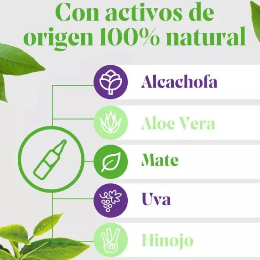 Arkopharma Arkofluido Alcachofa Forte 20 Ampollas + Botella Recargable
