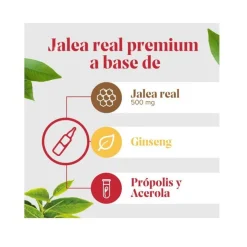 ARKOREAL Jalea Real Energía con Ginseng Sin Azúcar 500mg 20 ampollas
