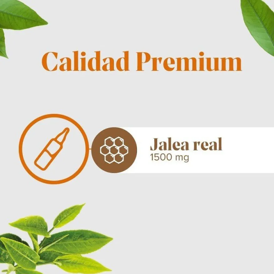 ARKOREAL Jalea Real 1500mg Sin Azúcar 20 ampollas