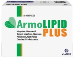 ARMOLIPID Plus Colesterol y Triglicéridos Duplo 2x60 Comprimidos