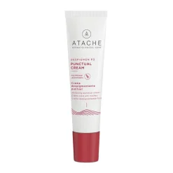 Atache Despigmen Punctual P3 15ml