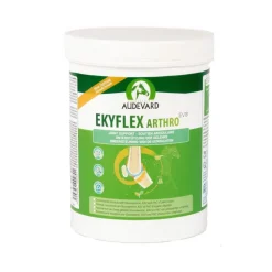 Audevard Ekyflex Arthro EVO Complemento Alimenticio 450g