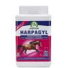 Audevard Harpagyl Complemento Alimenticio para Caballos 450g