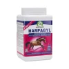 Audevard Harpagyl Pócima 900g