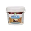 Audevard Lactofoal Fórmula Láctea 2,2kg