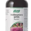 A.Vogel Boldocynara 100 ml