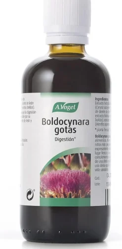 A.Vogel Boldocynara 100 ml