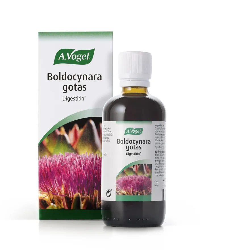 A.Vogel Boldocynara 100 ml