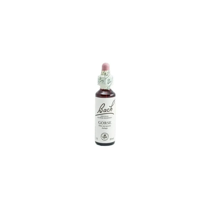 Bach 13 Gorse 20 ml