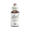 Bach 19 Larch 20 ml
