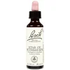Bach 29 Star Of Bethlehem 20 ml