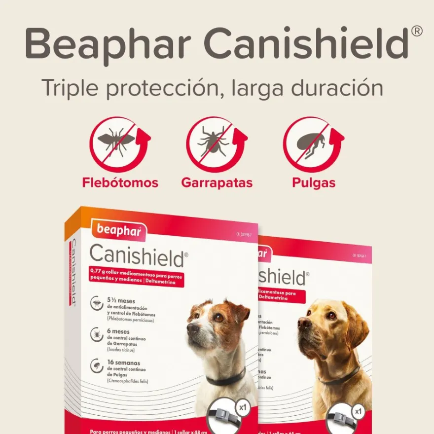 Beaphar Canishield Collar Antiparasitario Perro 65 cm 1 ud