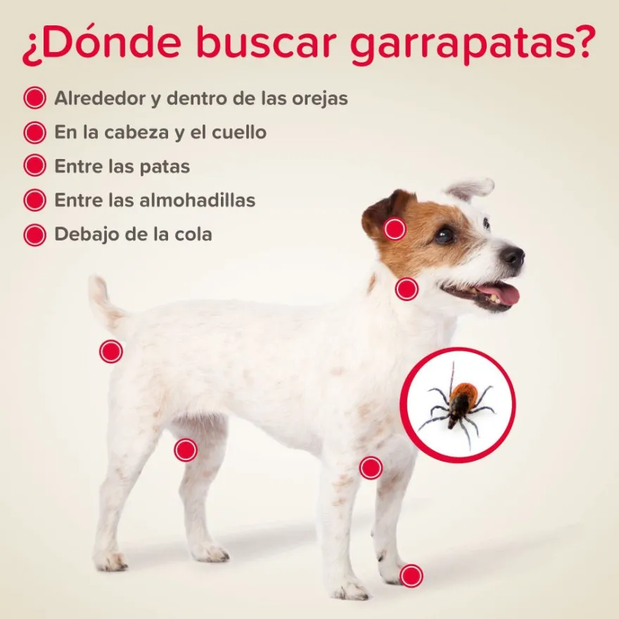 Beaphar Canishield Collar Antiparasitario Perro 65 cm 1 ud