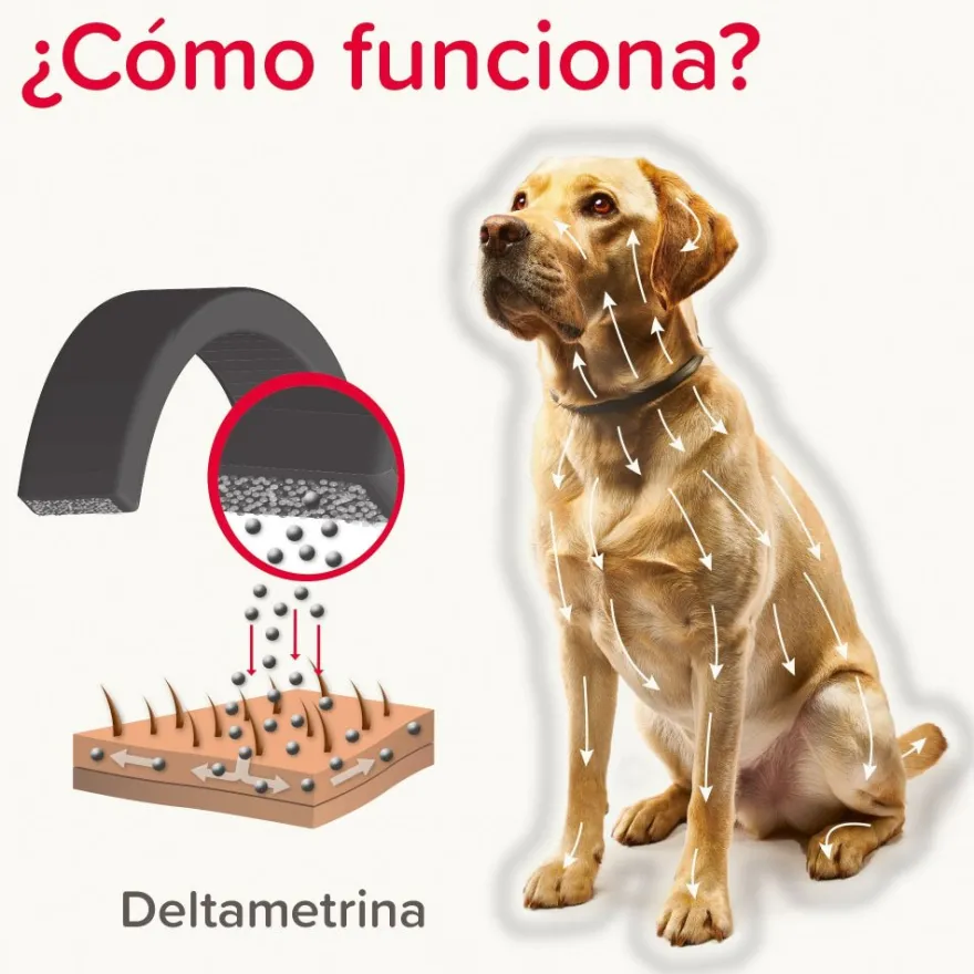 Beaphar Canishield Collar Antiparasitario Perro 65 cm 1 ud