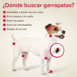 Beaphar Canishield Collar Antiparasitario Perro 48 cm 1 ud