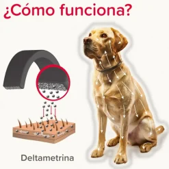 Beaphar Canishield Collar Antiparasitario Perro 48 cm 1 ud