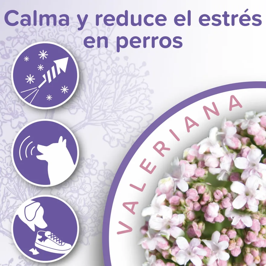 Beaphar Collar Calming Anti-estrés 65cm