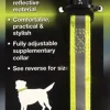 Beaphar Collar de Seguridad Reflectante Amarillo M/L 1 ud
