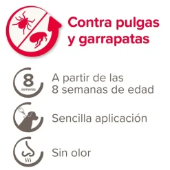 Beaphar Fiprotec Spot On Perro 2-10 kg Antiparasitario 4 Pipetas