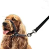 Beaphar Gentle Leader Collar de Cabeza para Perro L 1 ud