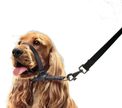 Beaphar Gentle Leader Collar de Cabeza para Perro L 1 ud