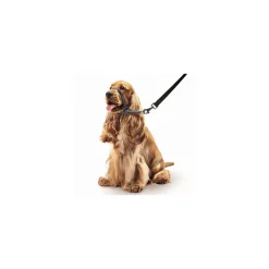 Beaphar Gentle Leader Collar de Cabeza Negro 0,32kg