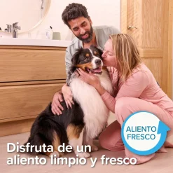 Beaphar Pasta Dentífrica Sabor Hígado 100g