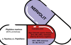Bioserum Nervolit 40 Cápsulas