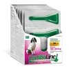Boehringer Comboline Spot-On Perro 20-40 Kg 18 Pipetas
