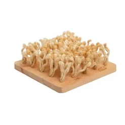 Bunny Tabla para Olisquear Juguete 1 ud
