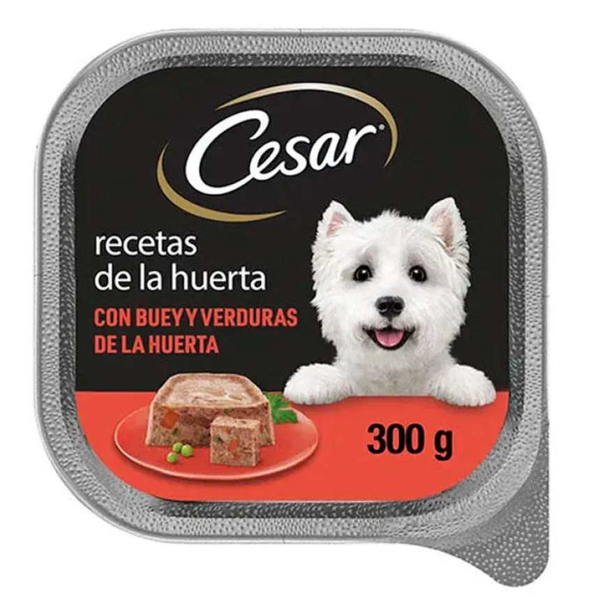 Cesar Buey Comida Húmeda para Perros 20 uds 300g