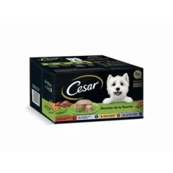 Cesar Multipack Selección Carnes Paté para Perros 24 x 150g