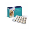 Covetrus NutriCareVet Suplemento Articular Tabletas 45 ud