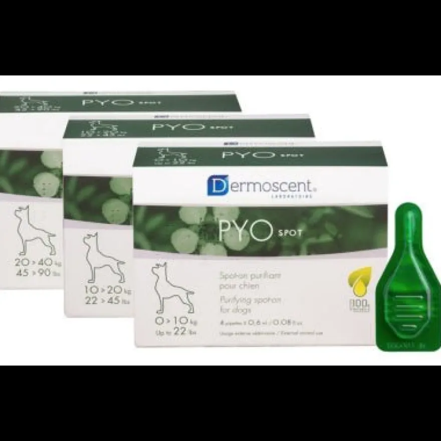 Dermoscent PYOspot Tratamiento Spot-On 4 pipetas 2,4ml
