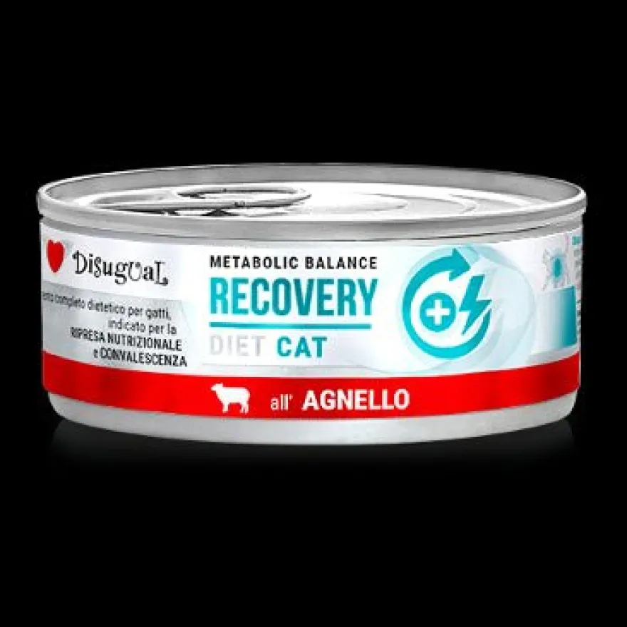 Disugual Diet Cat Recovery Cordero Comida Húmeda 85g
