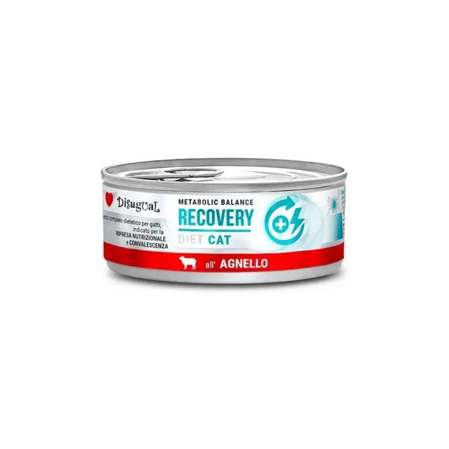 Disugual Diet Cat Recovery Cordero Comida Húmeda 85g