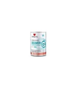 Disugual Diet Dog Recovery Salmón Comida Húmeda 400g