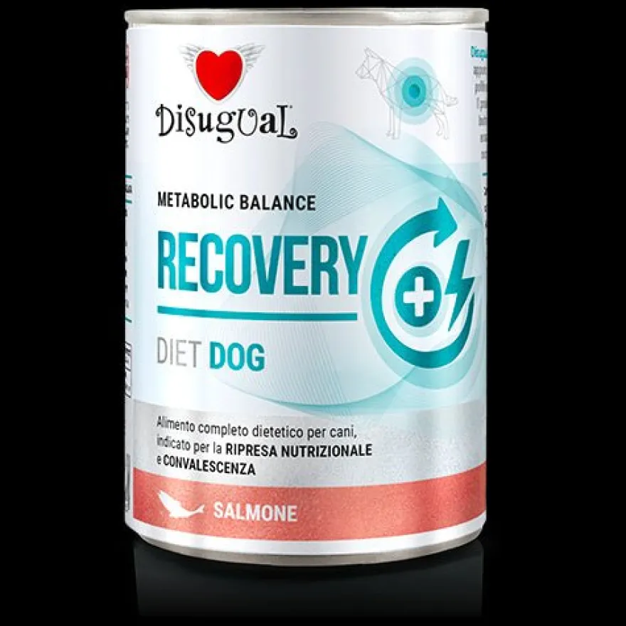 Disugual Diet Dog Recovery Salmón Comida Húmeda 400g