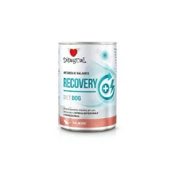 Disugual Diet Dog Recovery Salmón Comida Húmeda 400g
